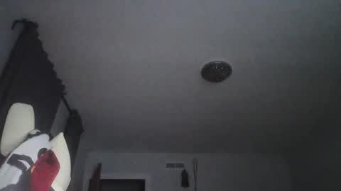 sexbrute online show from 05-17-26, 01:03