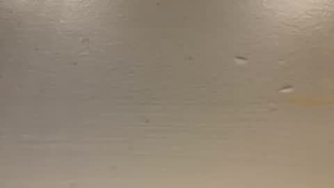 Snapshot of sexislitpuss69 chatting on 01-01-25, 11:40 sexislitpuss69 online show from 01-01-25, 11:40