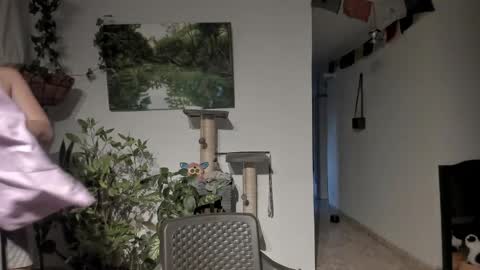         online show from 04-10-26, 11:04