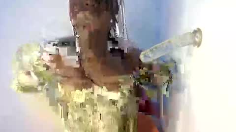 lily online show from 10-05-25, 09:34