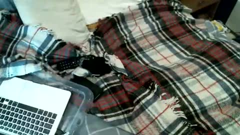 Snapshot of sexybiman74 chatting on 01-31-26, 10:52 sexybiman74 online show from 01-31-26, 10:52