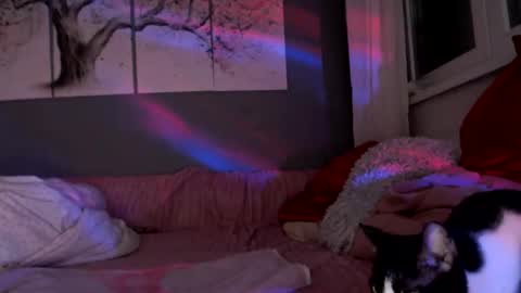 Snapshot of sexyella25 chatting on 03-22-26, 06:44 .... ............ Onlyfans online show from 03-22-26, 06:44