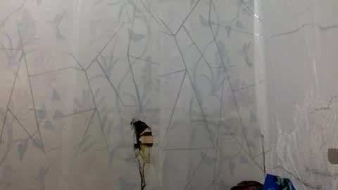 miss jade so online show from 04-15-26, 11:50