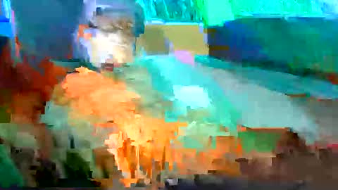 Shamroc online show from 05-11-26, 06:41