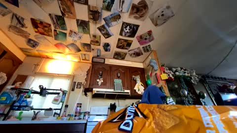 shorty920505 online show from 09-29-25, 10:03