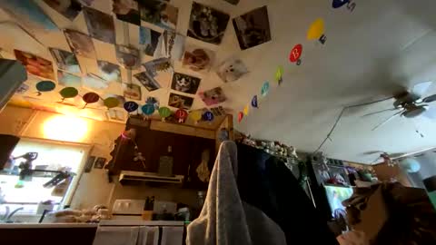 shorty920505 online show from 05-24-26, 10:37