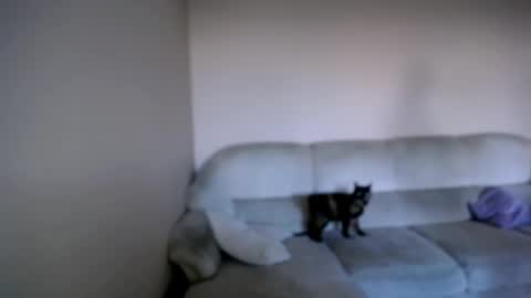 shy_sabrina_ online show from 04-26-26, 03:53