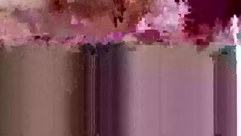 sigmaelixer online show from 05-17-26, 06:37
