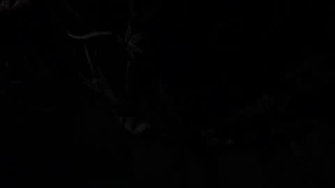 notyourdaddy online show from 01-13-25, 10:58