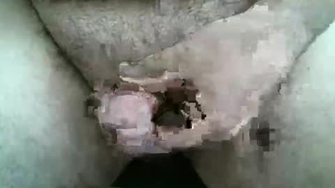 Snapshot of singlestr8man chatting on 03-09-26, 12:09 HardNSouthern online show from 03-09-26, 12:09