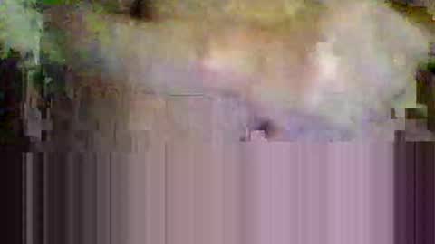 sisinyedz0000 online show from 02-04-26, 05:41