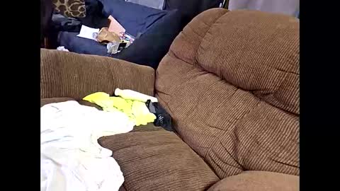 sissyboi124995 online show from 04-11-26, 07:51