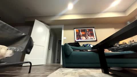 Snapshot of sissyinheelsbbc chatting on 11-09-25, 02:21 sissyinheelsbbc online show from 11-09-25, 02:21