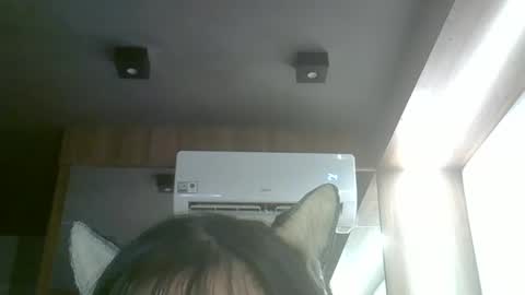 skinnykittencam online show from 04-11-26, 03:38