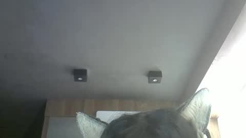 skinnykittencam online show from 05-12-26, 11:51