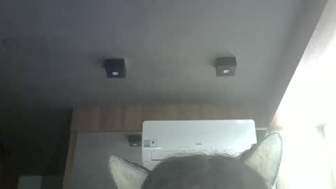 skinnykittencam online show from 05-16-26, 10:36