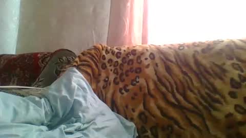 skyressie333 online show from 06-19-26, 07:56