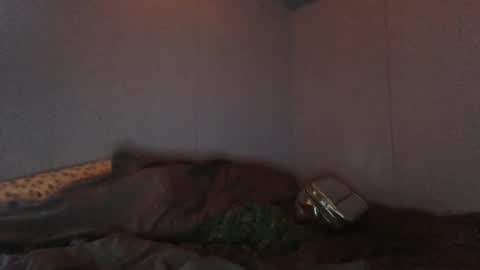 slapme_silly online show from 12-12-24, 12:05