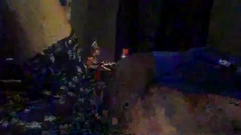 slimeguy315 online show from 09-20-25, 03:40