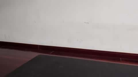 Snapshot of slutfactor chatting on 03-31-26, 06:36 slutfactor online show from 03-31-26, 06:36