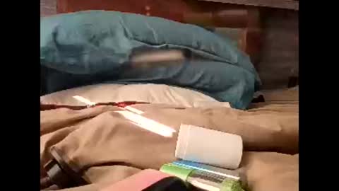 Nastyguurl online show from 03-30-26, 01:56