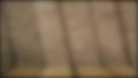 slvbcn75 online show from 12-28-24, 05:46