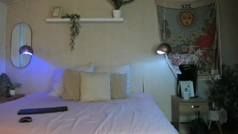 Snapshot of sofii_wild chatting on 05-20-26, 11:49 sofii_wild online show from 05-20-26, 11:49