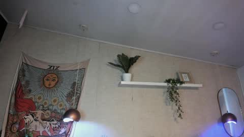 Snapshot of sofii_wild chatting on 05-30-26, 12:13 sofii_wild online show from 05-30-26, 12:13