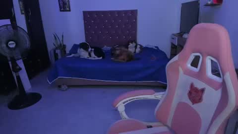 Snapshot of sophie_dolly_ chatting on 06-25-26, 02:33 sophie doll online show from 06-25-26, 02:33