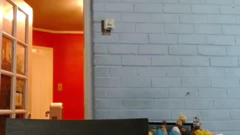 soul_glo online show from 11-20-25, 09:36