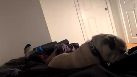 Snapshot of souls6207 chatting on 03-15-26, 08:31 souls6207 online show from 03-15-26, 08:31