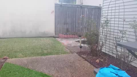 Snapshot of srtxshow chatting on 02-05-25, 03:20 srtxshow online show from 02-05-25, 03:20