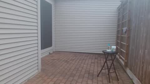 Snapshot of srtxshow chatting on 03-03-25, 11:24 srtxshow online show from 03-03-25, 11:24