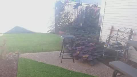 Snapshot of srtxshow chatting on 09-26-25, 02:43 srtxshow online show from 09-26-25, 02:43