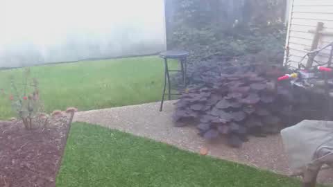 Snapshot of srtxshow chatting on 10-16-25, 01:45 srtxshow online show from 10-16-25, 01:45