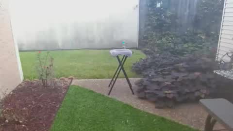 Snapshot of srtxshow chatting on 10-21-25, 02:07 srtxshow online show from 10-21-25, 02:07