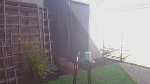 Snapshot of srtxshow chatting on 02-07-26, 06:00 srtxshow online show from 02-07-26, 06:00