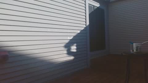 Snapshot of srtxshow chatting on 02-09-26, 03:16 srtxshow online show from 02-09-26, 03:16