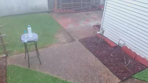 Snapshot of srtxshow chatting on 03-08-26, 10:13 srtxshow online show from 03-08-26, 10:13