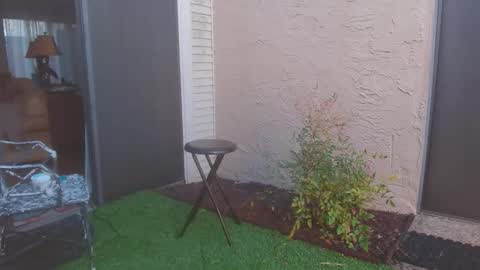 Snapshot of srtxshow chatting on 03-13-26, 11:33 srtxshow online show from 03-13-26, 11:33