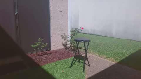 Snapshot of srtxshow chatting on 03-14-26, 04:34 srtxshow online show from 03-14-26, 04:34