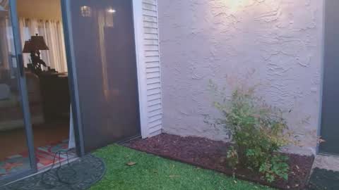 Snapshot of srtxshow chatting on 04-04-26, 12:02 srtxshow online show from 04-04-26, 12:02