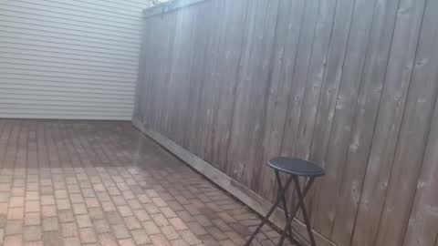 Snapshot of srtxshow chatting on 04-15-26, 03:41 srtxshow online show from 04-15-26, 03:41