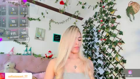 Snapshot of steewart_ chatting on 12-27-24, 02:25 ... online show from 12-27-24, 02:25