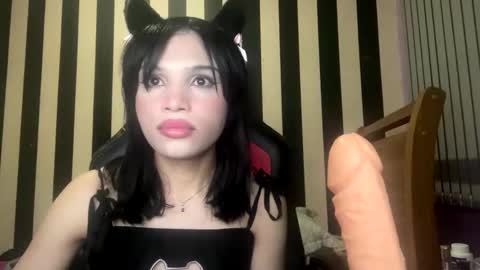 stellapapillon online show from 02-10-26, 11:31