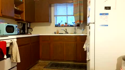 Snapshot of stickey4areason chatting on 03-29-26, 11:38 stickey online show from 03-29-26, 11:38