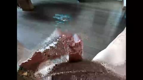 Snapshot of stifftail_12 chatting on 10-24-25, 06:32 Heiner online show from 10-24-25, 06:32