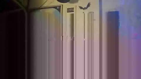 Str8 online show from 05-26-26, 01:23
