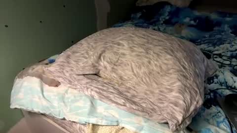 Sexy Nurse Girl online show from 06-21-26, 06:10