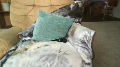 Sunny Clementine online show from 03-14-26, 05:18